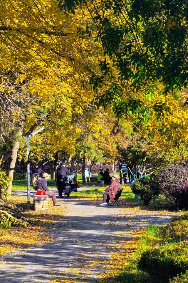 此刻！石臼街道的美景！