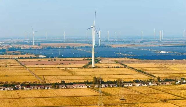 美哭！扬州稻田绝美秋景别错过～