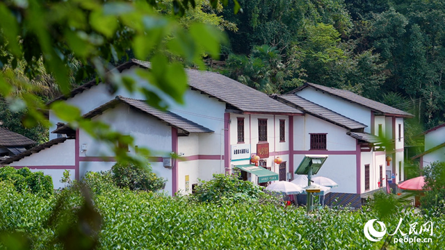 行进中国丨神山焕新