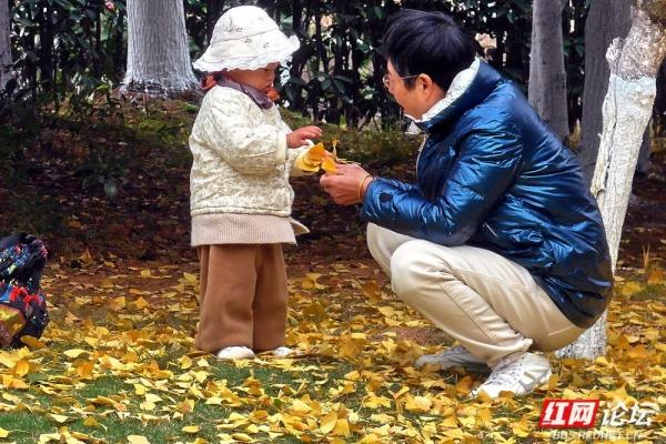圭塘河生态公园：时光漫过木栈道，城与自然撞满怀