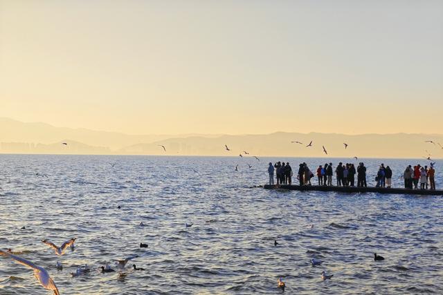 看日出、追红嘴鸥、拍婚纱……总要去一次大理龙龛码头吧！