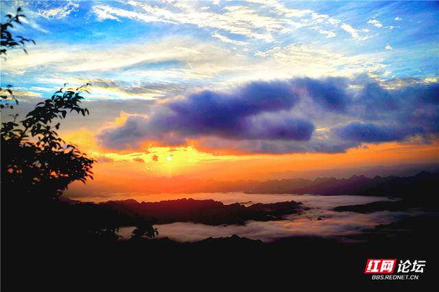 【每日一图@湖南】云游湘西八面山，看治愈系夏日风景