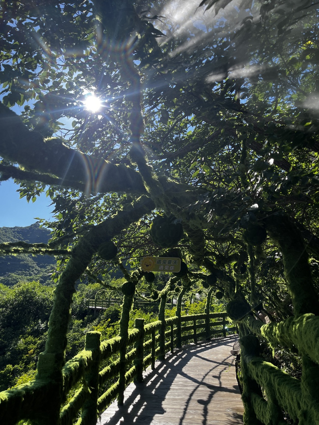 辽宁朝阳大黑山风景区迎来暑期旅游客流高峰