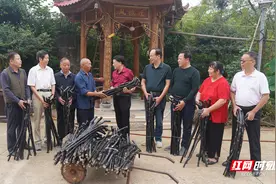 湘乡：小小拐杖寄深情图片