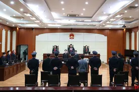 跨境走私陆龟、鬣蜥等野生动物300余只，3人被判刑并承担连带赔偿责任图片