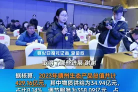 ​“绿色家底”价值429.16亿元！ 靖州发布生态系统生产总值（GEP）核算成果图片