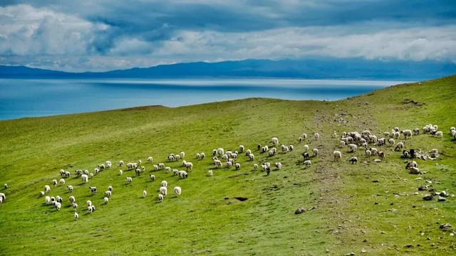 2026大皖研学夏令营·青海篇｜移动城堡房车6日营