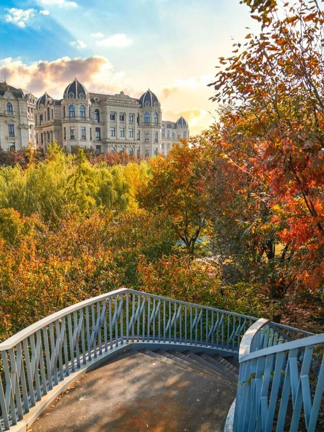 红叶+落日！深秋限定！用一下午时间感受河畔最美秋色