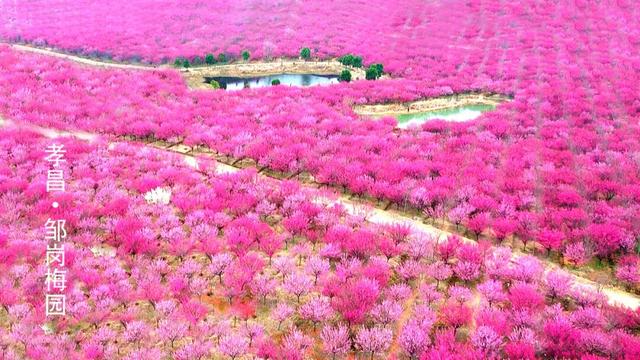 “孟孟”回乡惊叹：原来你是这样的孝昌