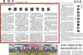 中原农谷拔节生长图片
