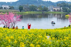 重庆巴南：湖畔花开迎客来图片