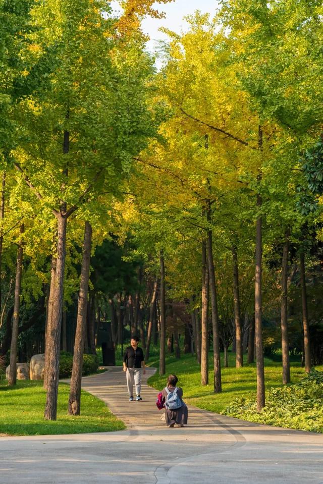 “我们去曲江玩呀！”“一言为定！”