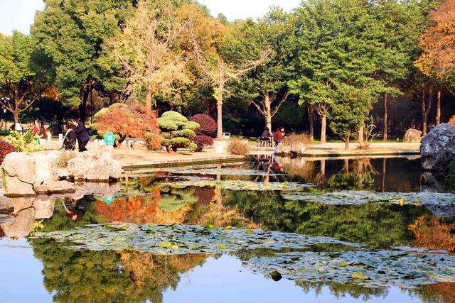 江苏苏州：桐泾公园斑斓冬景引客来