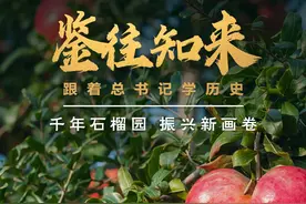 鉴往知来，跟着总书记学历史丨千年石榴园 振兴新画卷图片