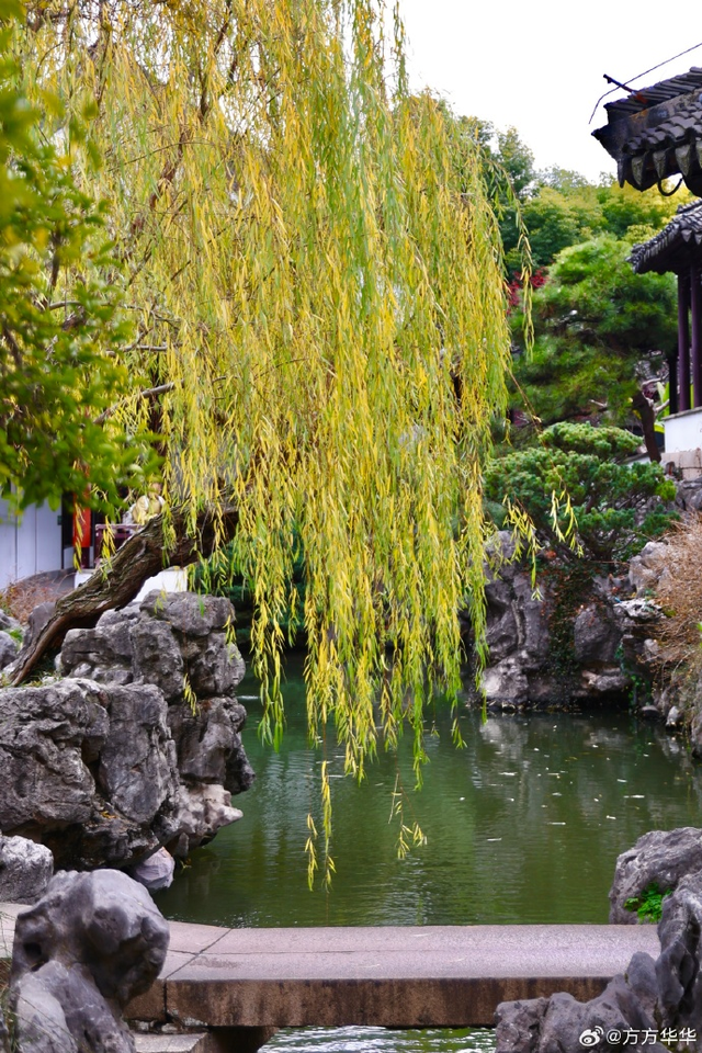 这个元旦假期，把时光“浪费”在秦淮最美的园子里~