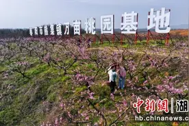 湖北枣阳万人赏桃花 体验机车游帝乡图片