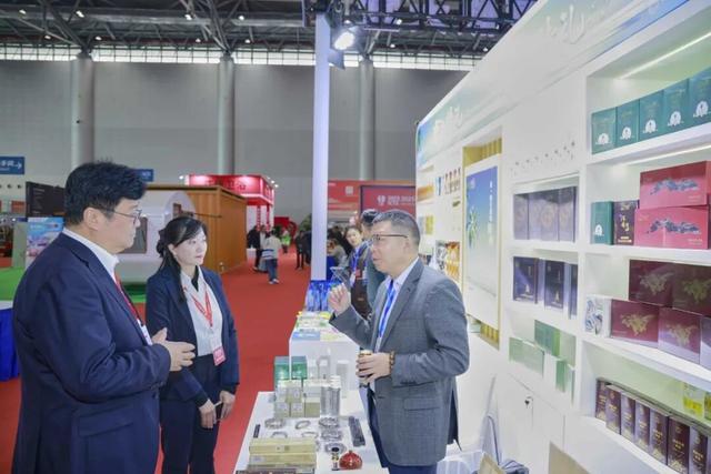 华晨宇、邓紫棋演唱会，多项体育赛事……海南冬季旅游热度攀升