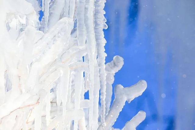 出片率100%！北京震撼冰瀑奇观上线，游客慕“冰”而来