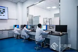 “四链”融合涵养新质生产力 云南贵金属集团聚势跃迁图片