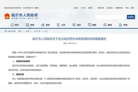全域全年禁猎，9月1日起实施！临沂市政府发布通告图片