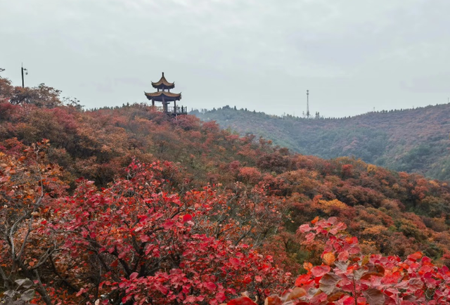 人少！景美！郑州周边9个超适合徒步爬山的好去处→