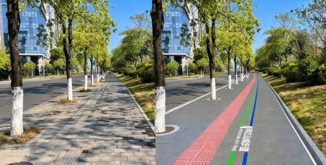 下月开建！重庆将新增一条山城步道