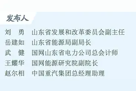 答记者问｜山东分时电价政策《蓝皮书》发布，为全国电力市场贡献“山东方案”图片