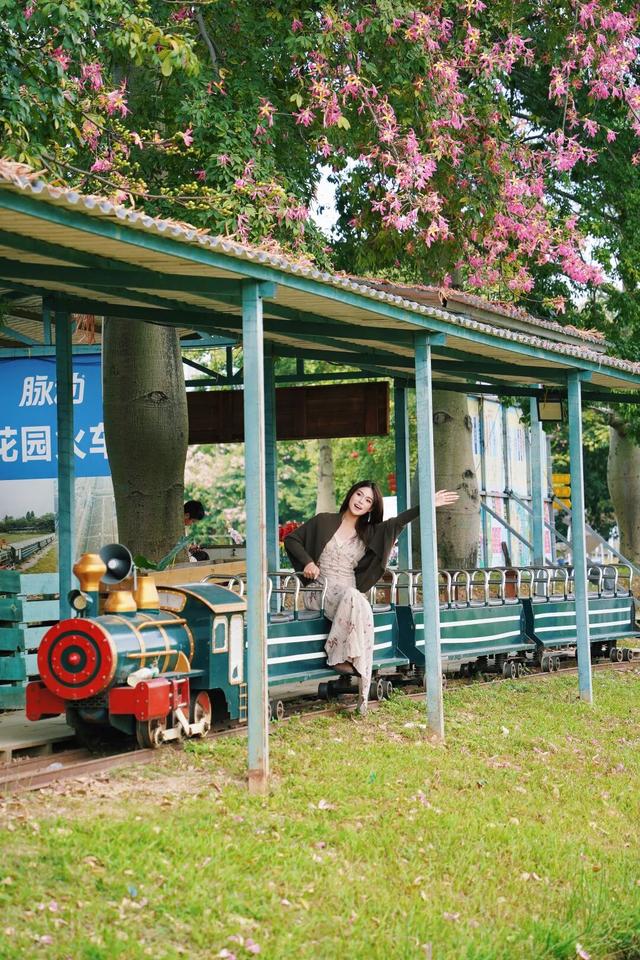 门票免费送！里水百亩花海上新！拍照遛娃圣地→