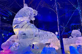 冰城避暑好去处！“一秒过冬”奇不奇图片