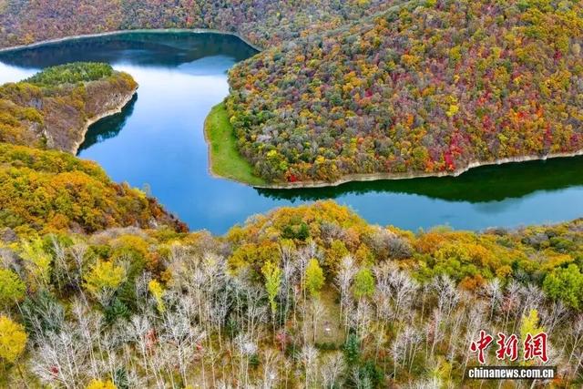 央媒看白山 | 中国新闻网：吉林白山 秋染白山湖风景区 彩林宛如大自然的调色盘