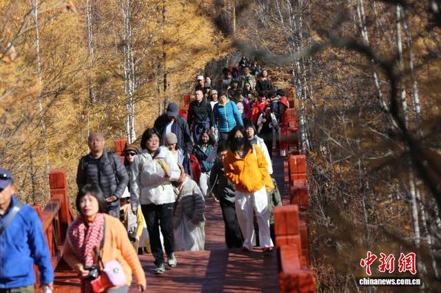 内蒙古阿尔山秋季旅游火爆 当地开启“宠客”模式