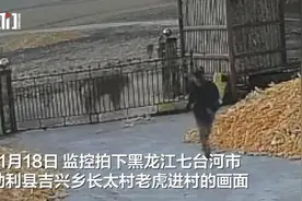 老虎进村伤人，应急需要常态化思维图片