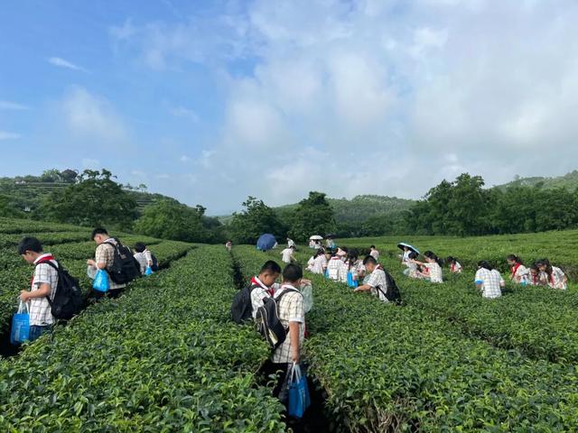 浪漫茶田，赴一场暖炉与手作的邀约~
