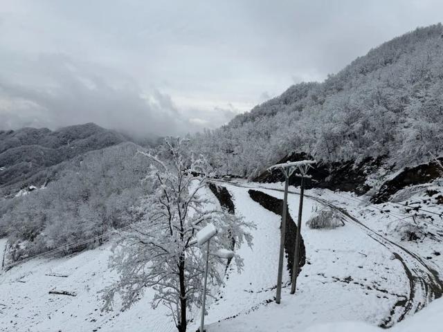 等来了！白河入冬第一场雪，竟藏着这样的景致