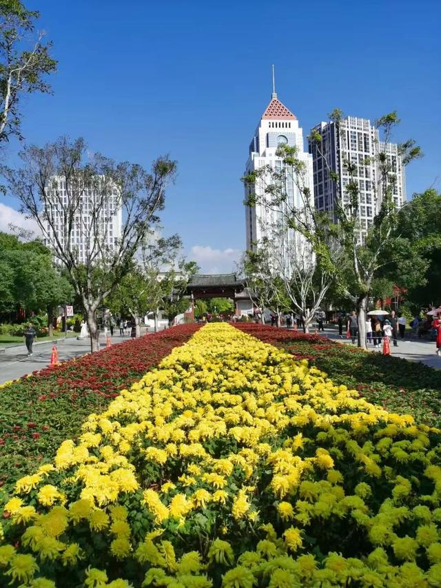 这场秋菊盛会，描绘着福建的千年风雅