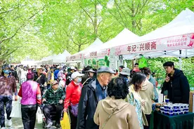 一站式打卡300+美食 北京牛街2025年美食文化品鉴周收官图片