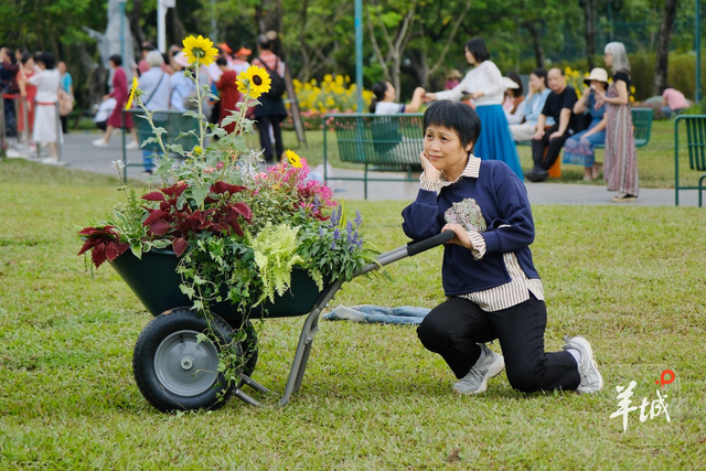 秋明拍花｜名副其实的“花城”：人在画中游，笑从花畔生
