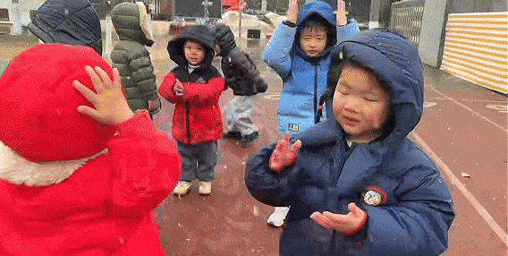 定格浪漫！吴江初雪美景图鉴！