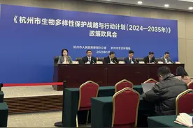 图解未来十年的杭州，如何为生物多样性保护“定规矩”图片