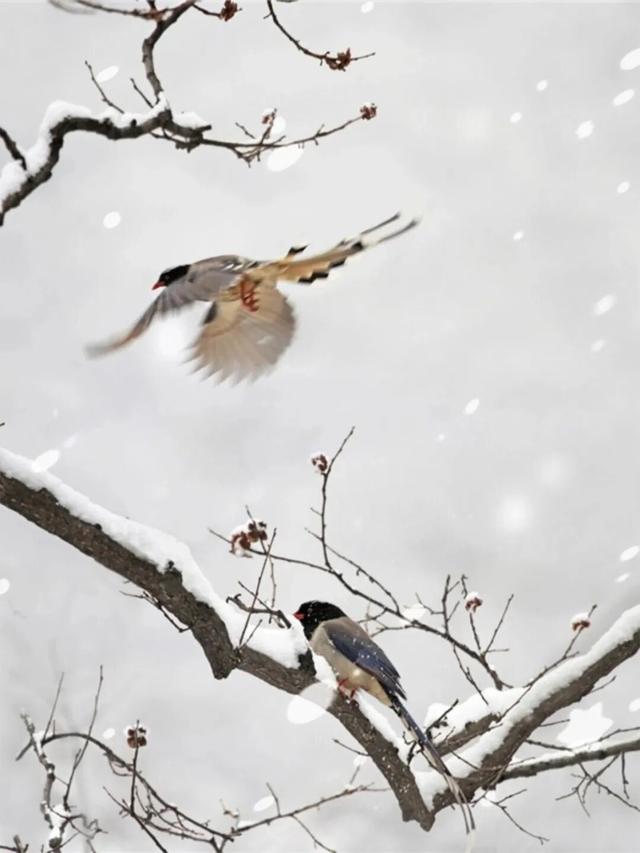 云台山的冰挂要来了！