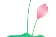 一粒种子的旅行·立夏图片