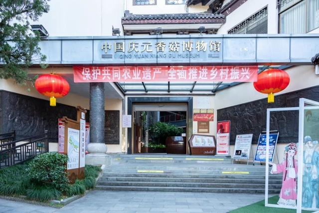 这座小城靠“香菇”火出圈！浙西南秘境，美食美景藏不住了