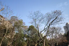 天寒又地冻，零下气温天天见图片