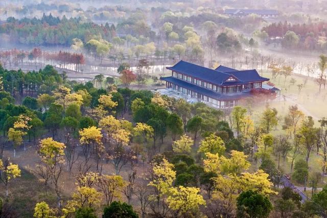 南通这里又要火了！每天清晨，不少人赶去打卡