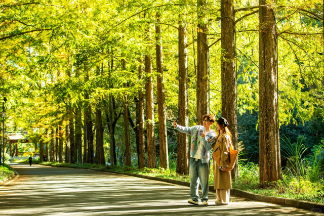 初冬“回血”指南，一起解锁自然疗愈之旅