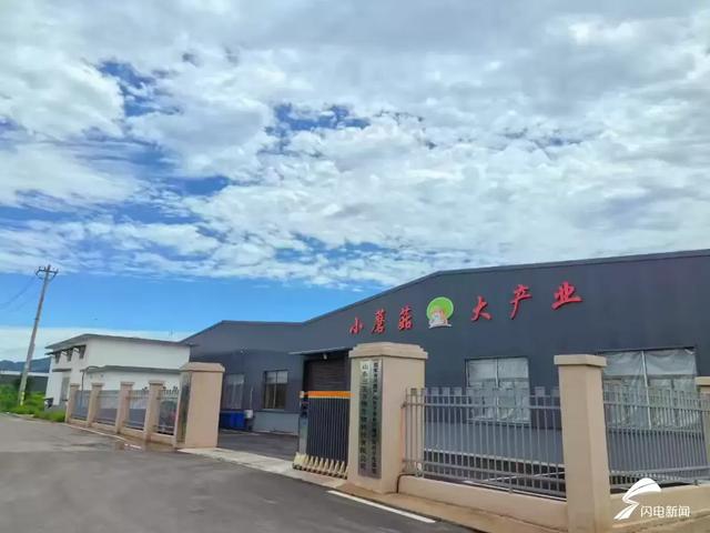 暑期旅游热力全开 济南章丘区以"诗画"为笔 绘就农文旅融合发展新画卷