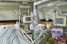 比眼镜蛇还毒！银环蛇咬伤险些致命 中西医结合治疗转危为安图片