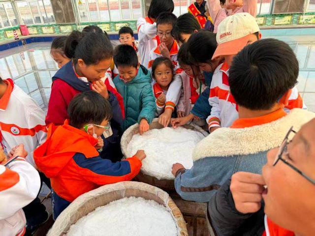 重阳探盐韵 老少共传承丨汉沽街道滨河家园社区非遗文化之旅韵味浓