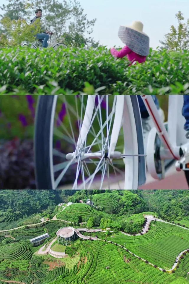 全民健身日|在名山的风景中唤醒身心，这才是健身的终极浪漫！