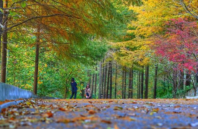 今日浓度50%！巢湖人都懂
